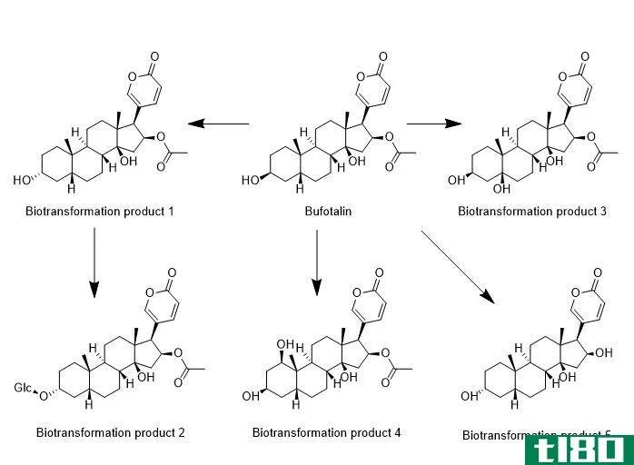 生物转化(biotransformation)和新陈代谢(metaboli**)的区别