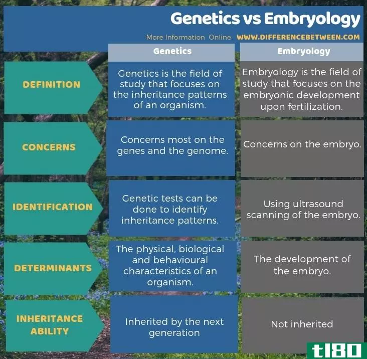 遗传学(genetics)和胚胎学(embryology)的区别