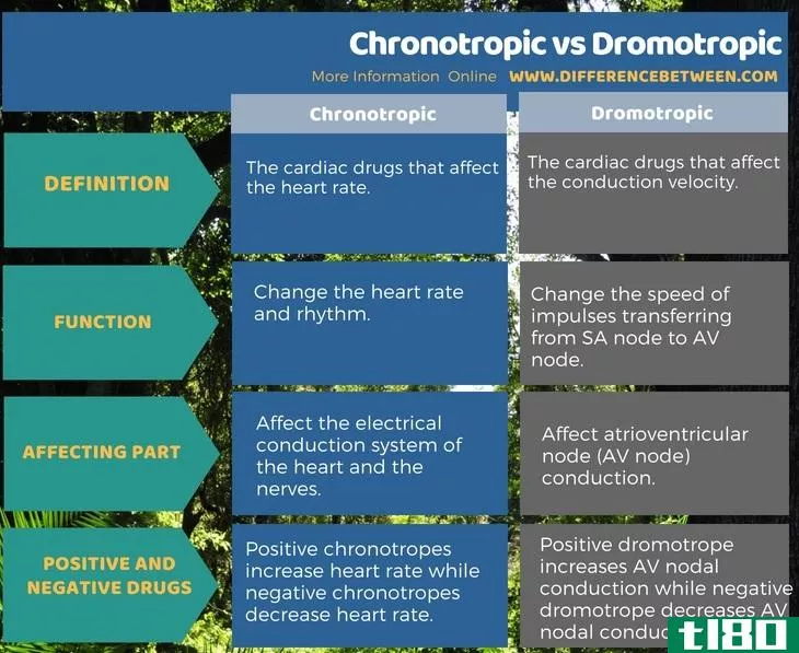变时的(chronotropic)和疏水性(dromotropic)的区别