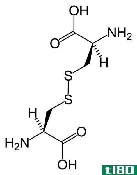 半胱氨酸(cysteine)和胱氨酸(cystine)的区别