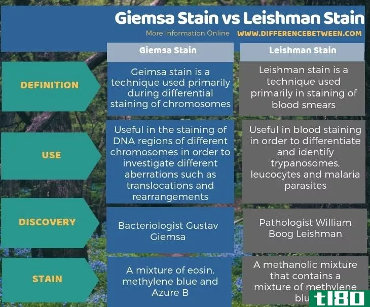 吉姆萨染色(giemsa stain)和利什曼染色(leishman stain)的区别