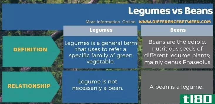 豆类(legumes)和豆(beans)的区别