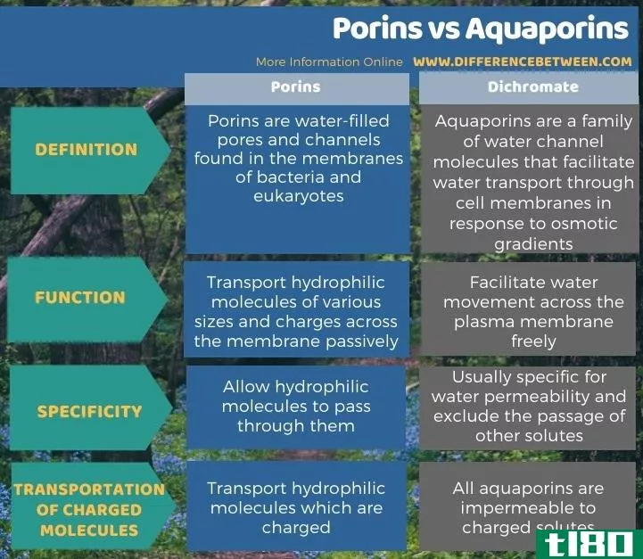 孔蛋白(porins)和水通道蛋白(aquaporins)的区别