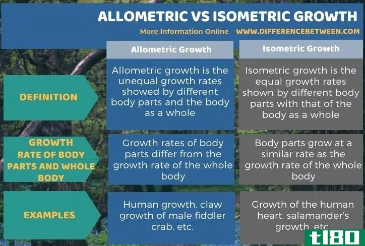 异速生长(allometric)和等距生长(isometric growth)的区别