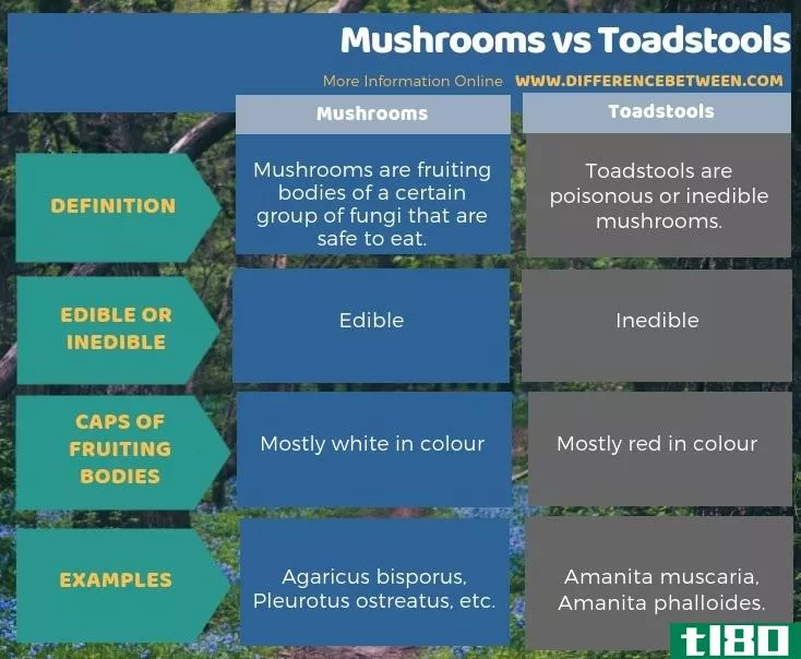 蘑菇(mushrooms)和毒蕈(toadstools)的区别