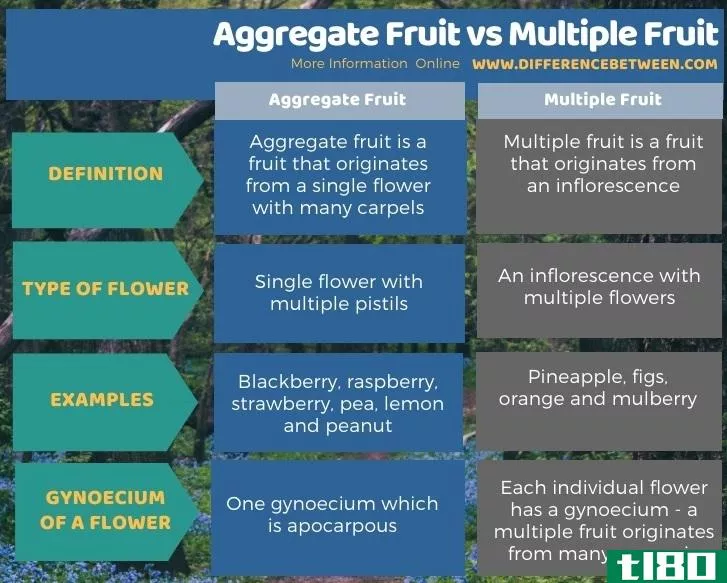 聚合水果(aggregate fruit)和多果(multiple fruit)的区别
