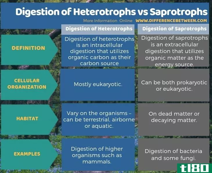 异养生物的消化(digestion of heterotrophs)和腐生物(saprotrophs)的区别