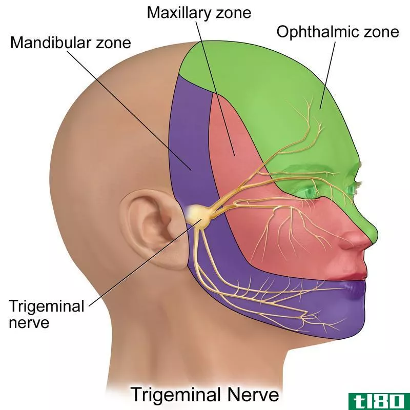 tmj(tmj)和三叉神经痛(trigeminal neuralgia)的区别