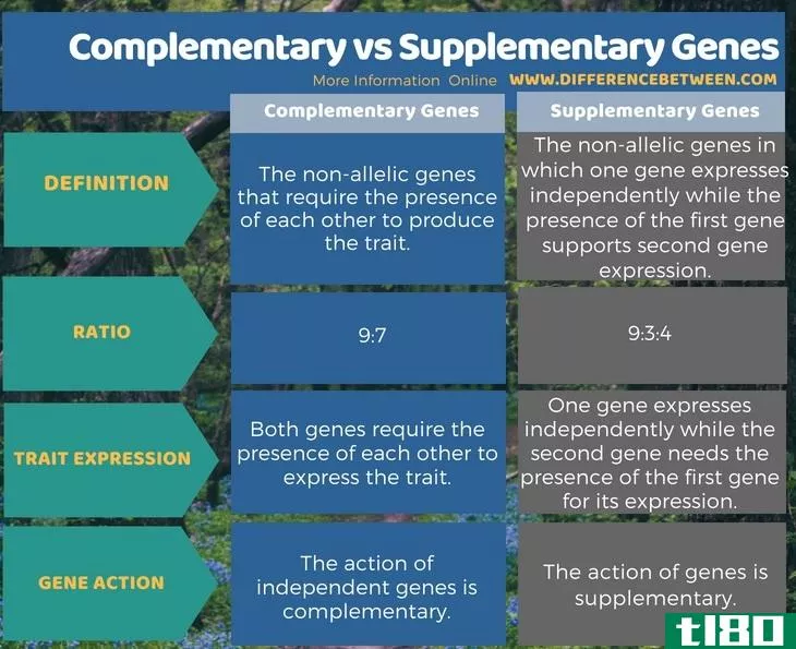 互补的(complementary)和补充基因(supplementary genes)的区别