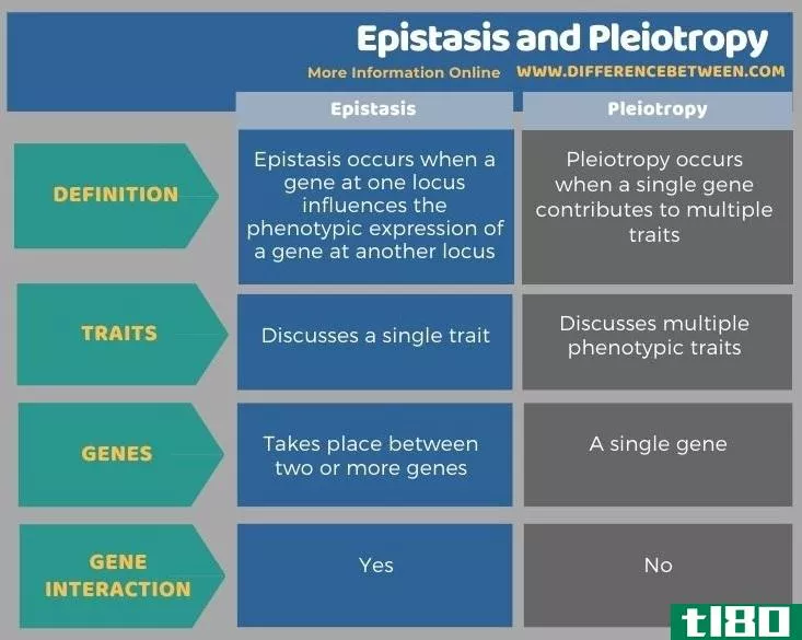上位性(epistasis)和多效性(pleiotropy)的区别