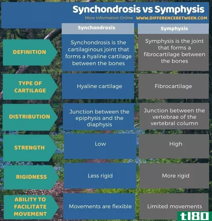软骨结合(synchondrosis)和联合(symphysis)的区别