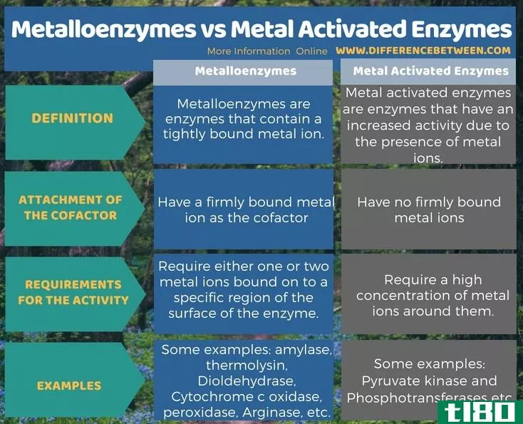 金属酶(metalloenzymes)和金属激活酶(metal activated enzymes)的区别