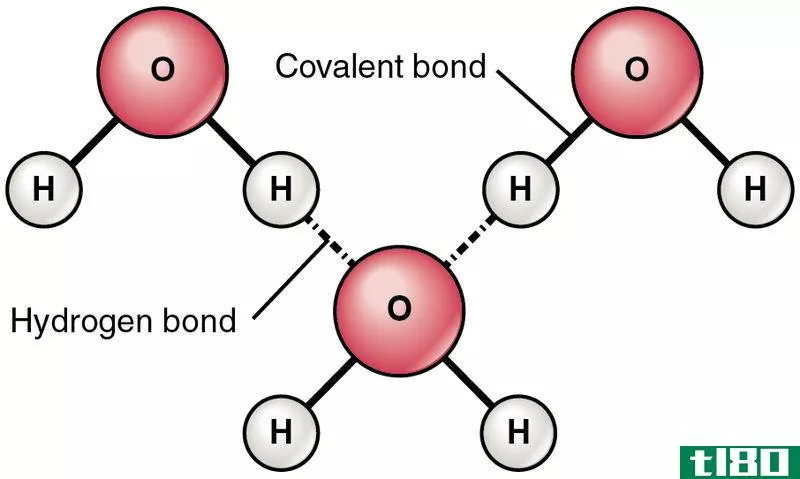 氢键给体(hydrogen bond donor)和接受者(acceptor)的区别