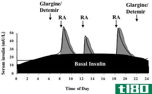 基底(basal)和胰岛素丸(bolus insulin)的区别
