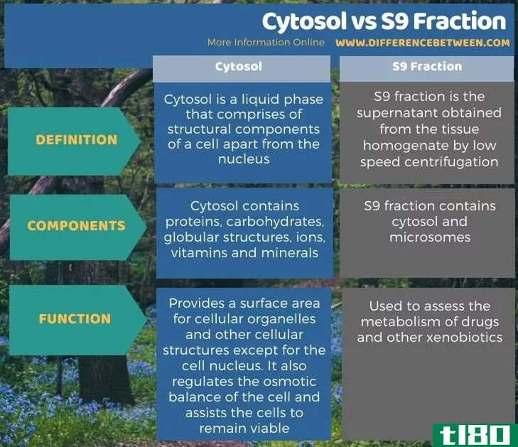 胞浆(cytosol)和s9分数(s9 fraction)的区别