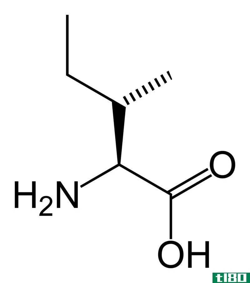 亮氨酸(leucine)和异亮氨酸(isoleucine)的区别