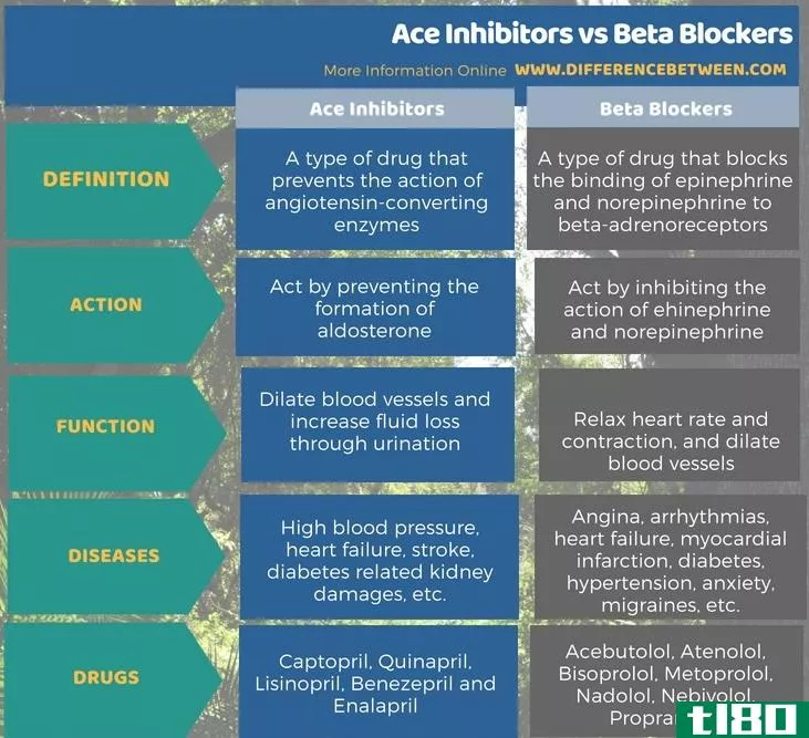 ACE抑制剂(ace inhibitors)和β受体阻滞剂(beta blockers)的区别