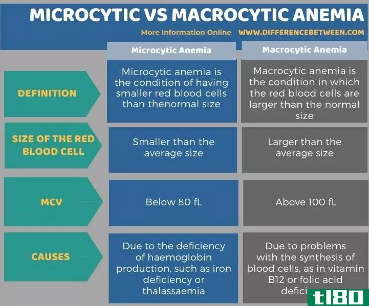 微细胞(microcytic)和大细胞性贫血(macrocytic anemia)的区别