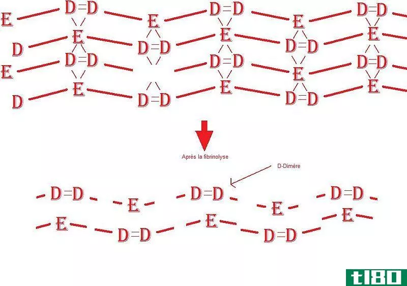 d二聚体(d dimer)和fdp公司(fdp)的区别