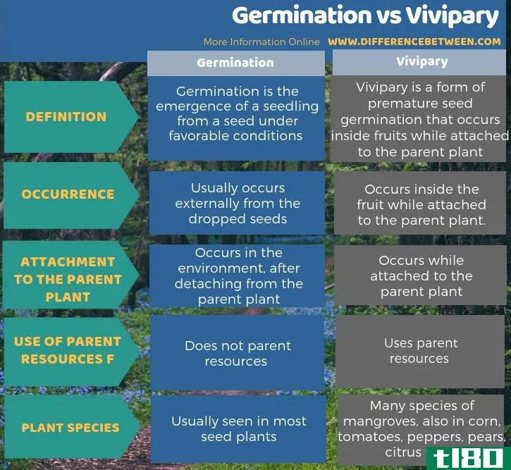 发芽(germination)和胎生(vivipary)的区别