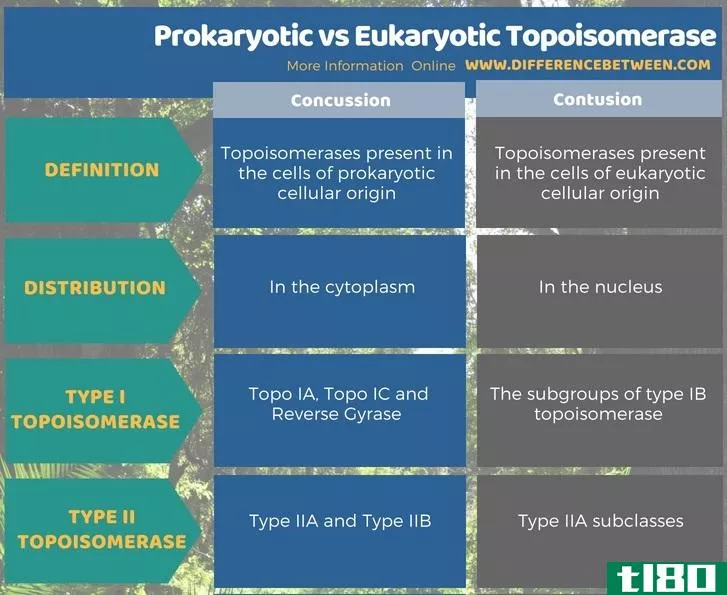 原核(prokaryotic)和真核拓扑异构酶(eukaryotic topoisomerase)的区别