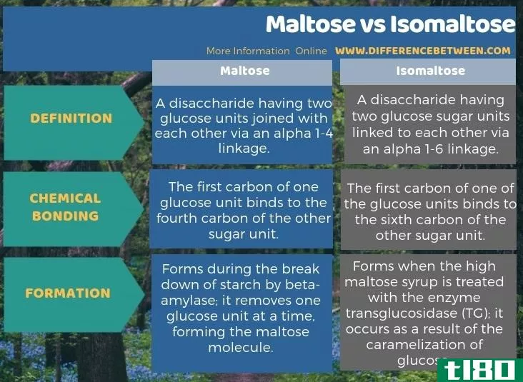 麦芽糖(maltose)和异麦芽糖(isomaltose)的区别
