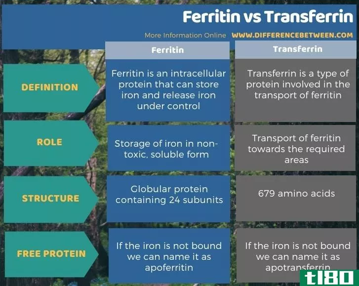 铁蛋白(ferritin)和转铁蛋白(transferrin)的区别