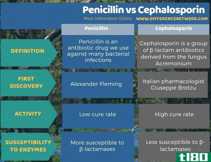 青霉素(penicillin)和头孢菌素(cephalosporin)的区别
