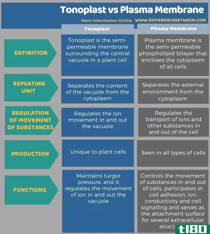 液泡膜(tonoplast)和质膜(pla**a membrane)的区别