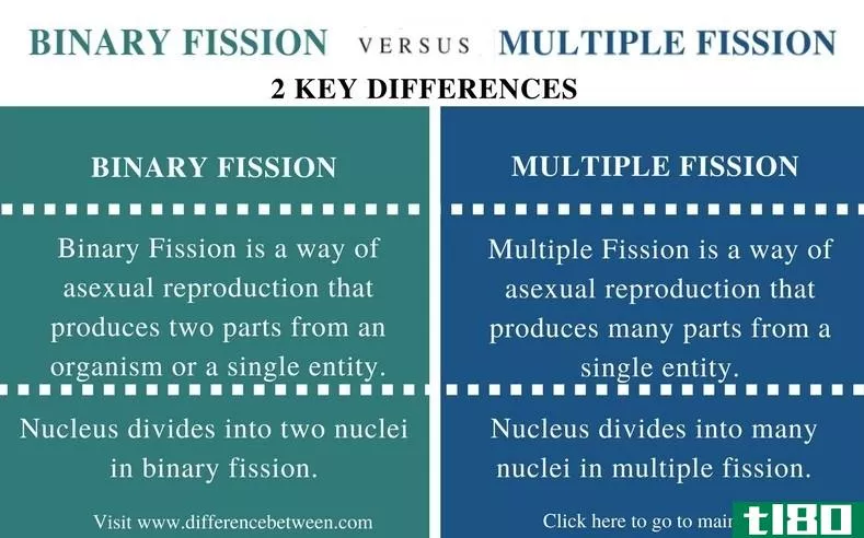 二元裂变(binary fission)和多重裂变(multiple fission)的区别
