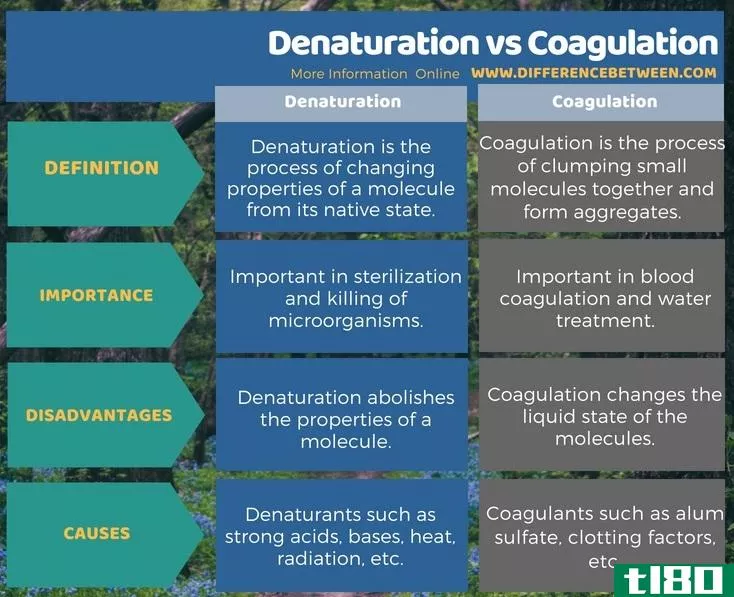 变性(denaturation)和凝固(coagulation)的区别
