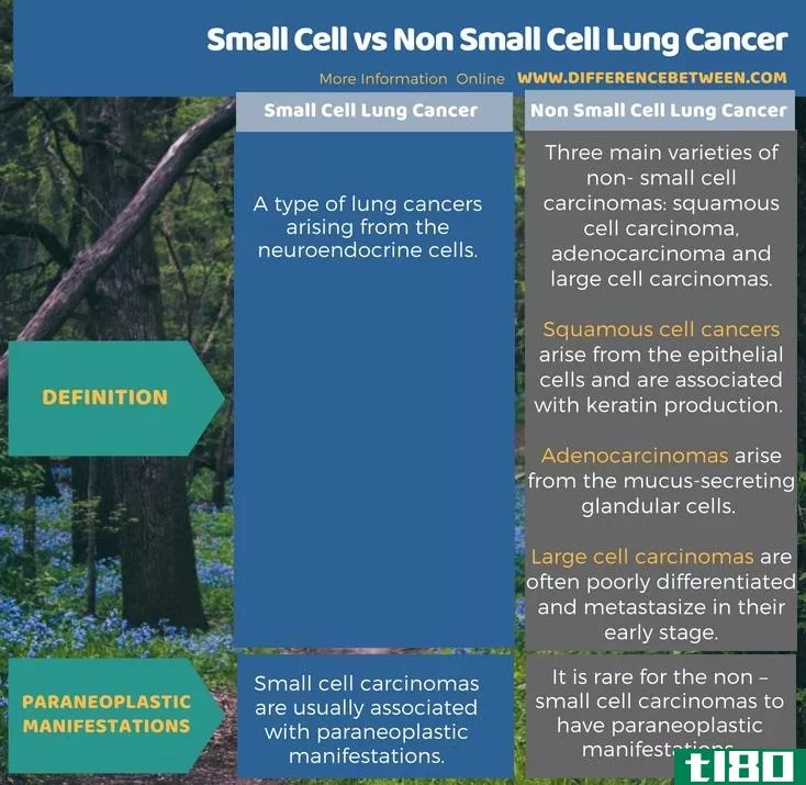 小细胞(**all cell)和非小细胞肺癌(non **all cell lung cancer)的区别