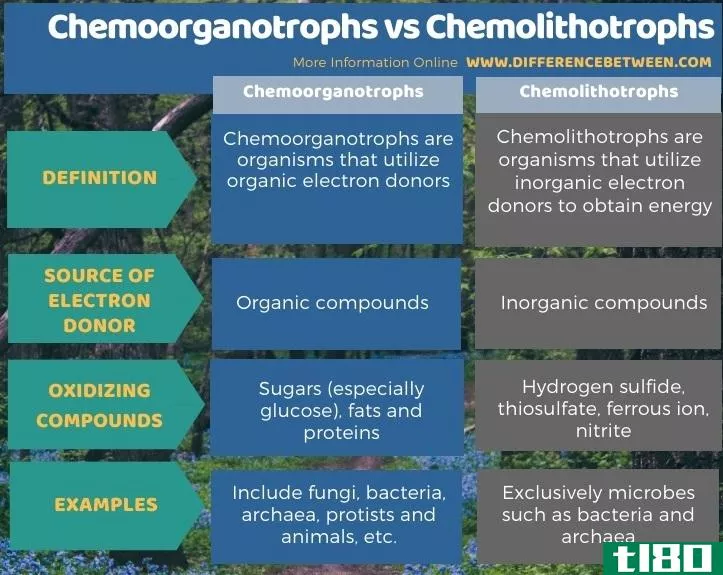 化学**营养(chemoorganotrophs)和化能无机营养型(chemolithotrophs)的区别