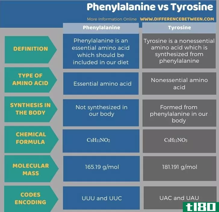 苯丙氨酸(phenylalanine)和酪氨酸(tyrosine)的区别