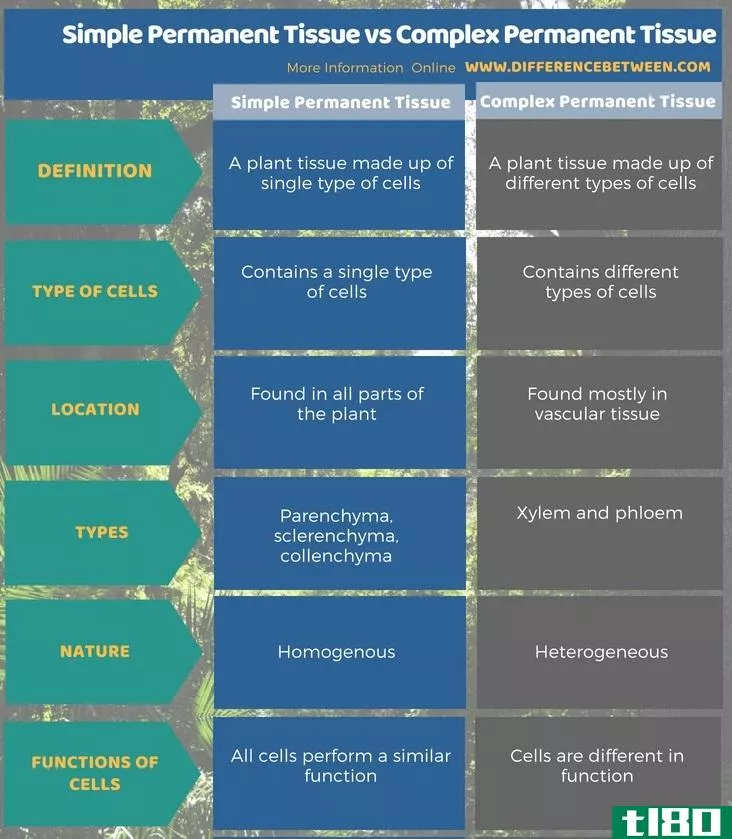 单纯永久组织(simple permanent tissue)和复合永久组织(complex permanent tissue)的区别