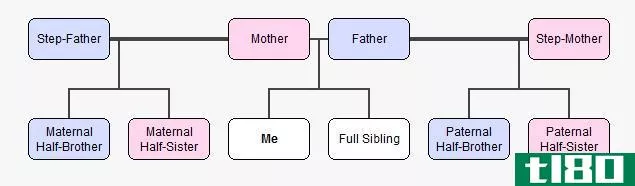 继姐(继母与其前夫或继父与其前妻所生的女儿)(stepsister)和同父异母姐妹(half-sister)的区别