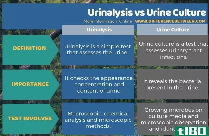 尿检(urinalysis)和尿培养(urine culture)的区别