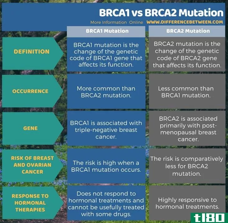 brca1(brca1)和brca2突变(brca2 mutation)的区别