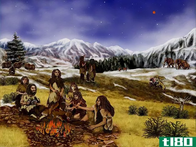 尼安德塔人(neanderthals)和智人（现代人类）(homo sapiens (modern humans))的区别
