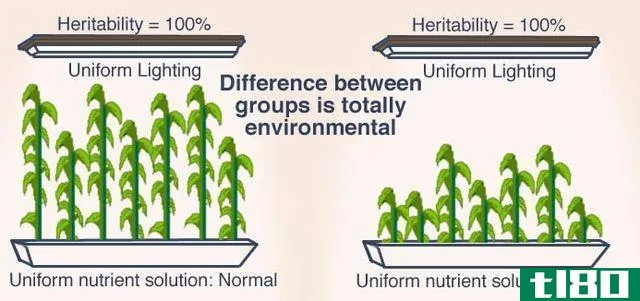 遗传变异(genetic variation)和环境变化(environmental variation)的区别