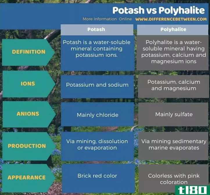 钾盐(potash)和杂石盐(polyhalite)的区别