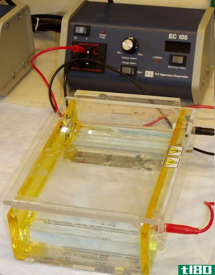 堆积凝胶(stacking gel)和分离胶(separating gel)的区别