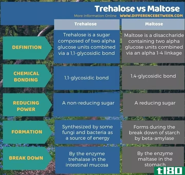 海藻糖(trehalose)和麦芽糖(maltose)的区别