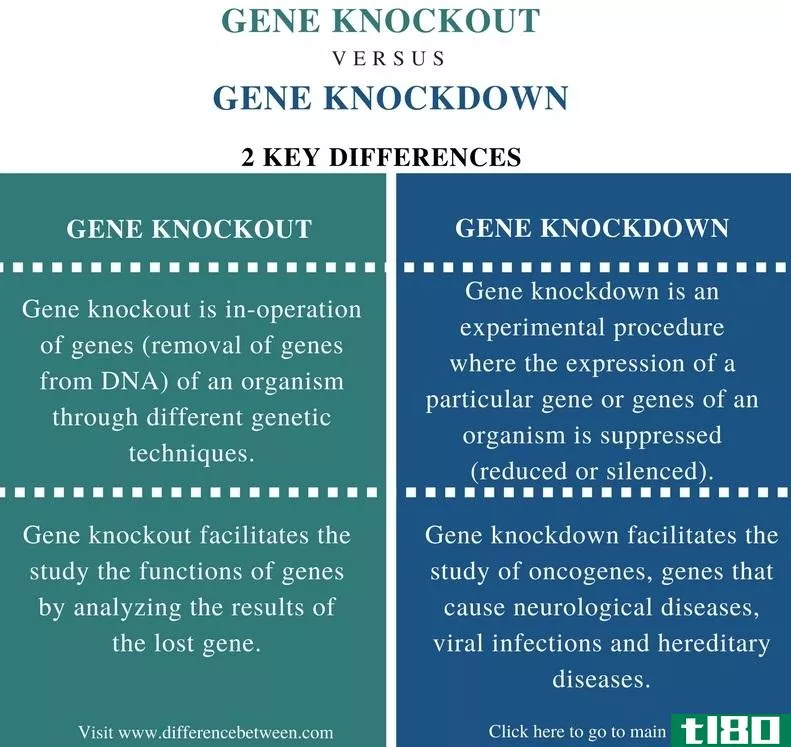 基因敲除(gene knockout)和击倒(knockdown)的区别