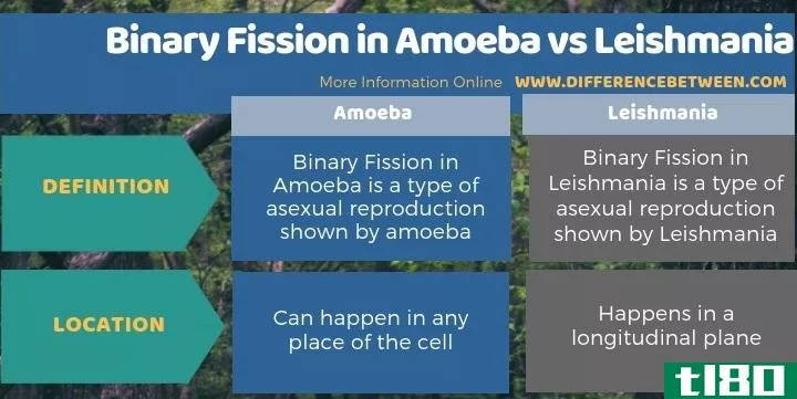 变形虫的二元裂变(binary fission in amoeba)和利什曼原虫(leishmania)的区别