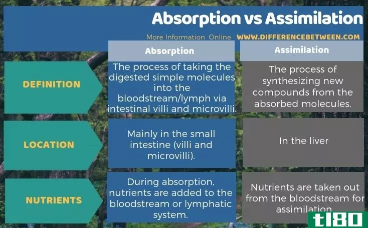 吸收(absorption)和同化(assimilation)的区别