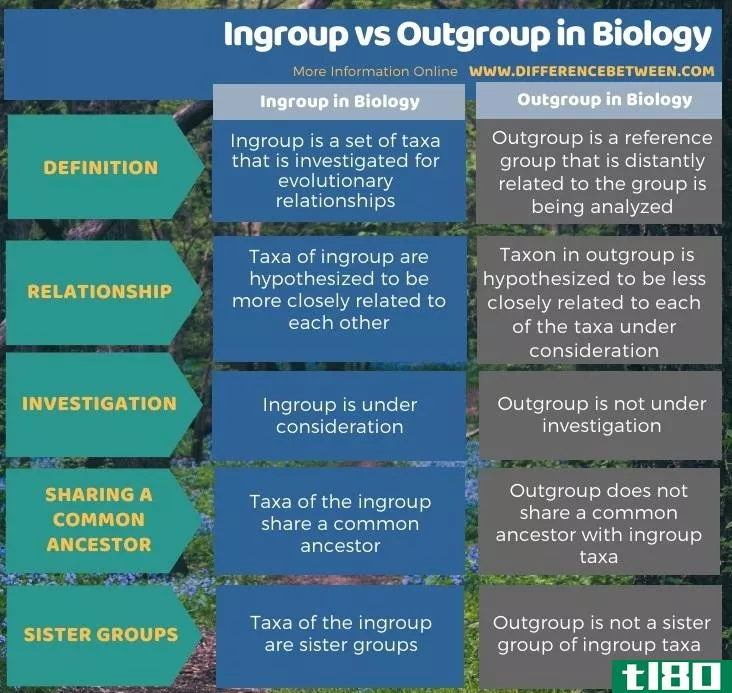 内群(ingroup)和生物学中的外群(outgroup in biology)的区别