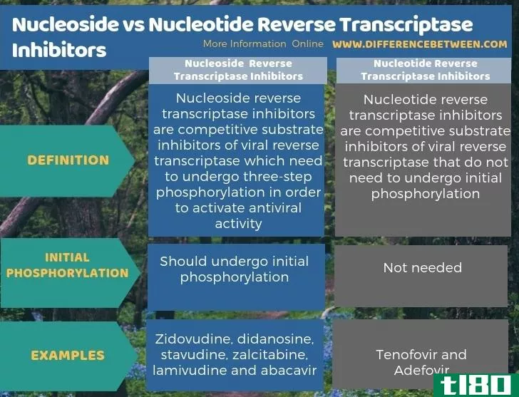 核苷(nucleoside)和核苷酸逆转录酶抑制剂(nucleotide reverse transcriptase inhibitors)的区别