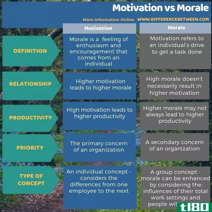动机(motivation)和士气(morale)的区别