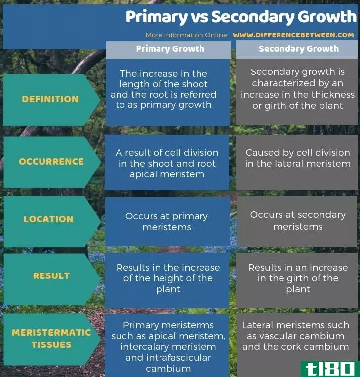 初级的(primary)和次生生长(secondary growth)的区别